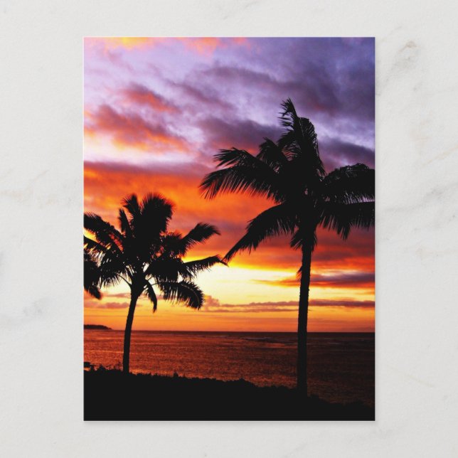 Hawaiian Sunset print Vykort (Framsida)
