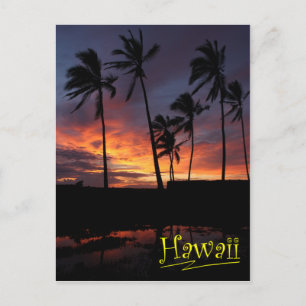 Hawaiian Sunset Ställe i Refuge Vykort