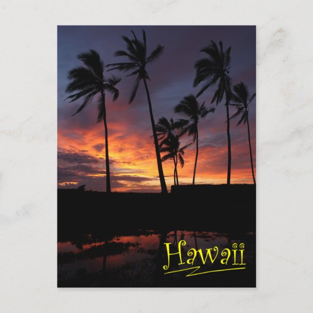 Hawaiian Sunset Ställe i Refuge Vykort (Framsida)