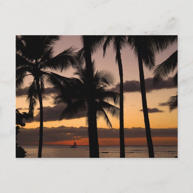 Hawaiian Sunset Vykort (Framsida)
