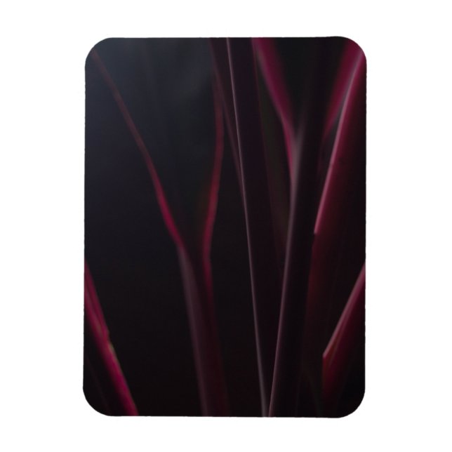 Hawaiian Ti Plant Magnet (Vertikal)