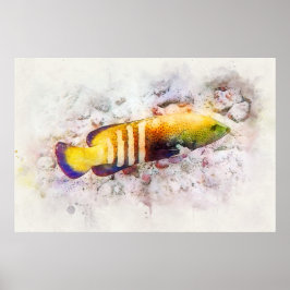 Hawaiian Tropical Fish Watercolor - Grouper Poster