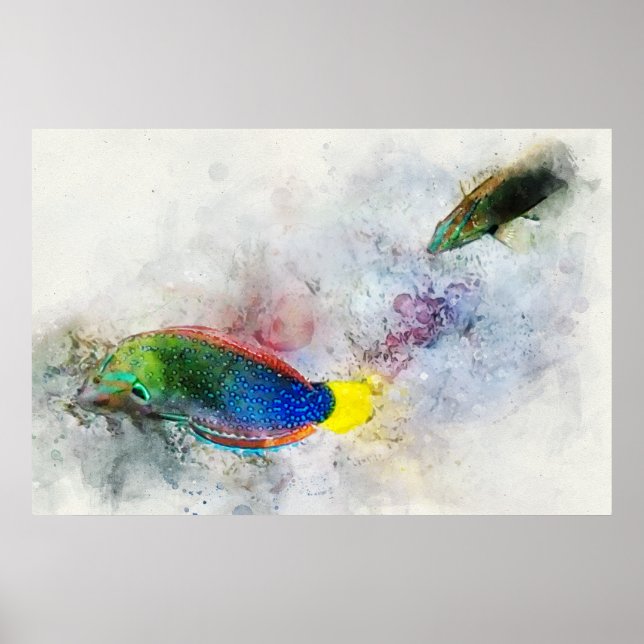 Hawaiian Tropical Fish Watercolor - Wrasse Poster (Framsidan)