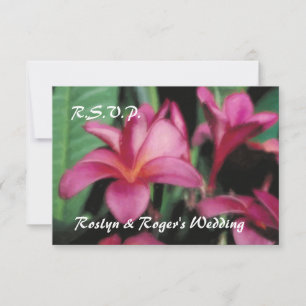 Hawaiian Tropical Plumeria OSA kort