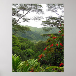Hawaiian Tropical Rain Forest Poster
