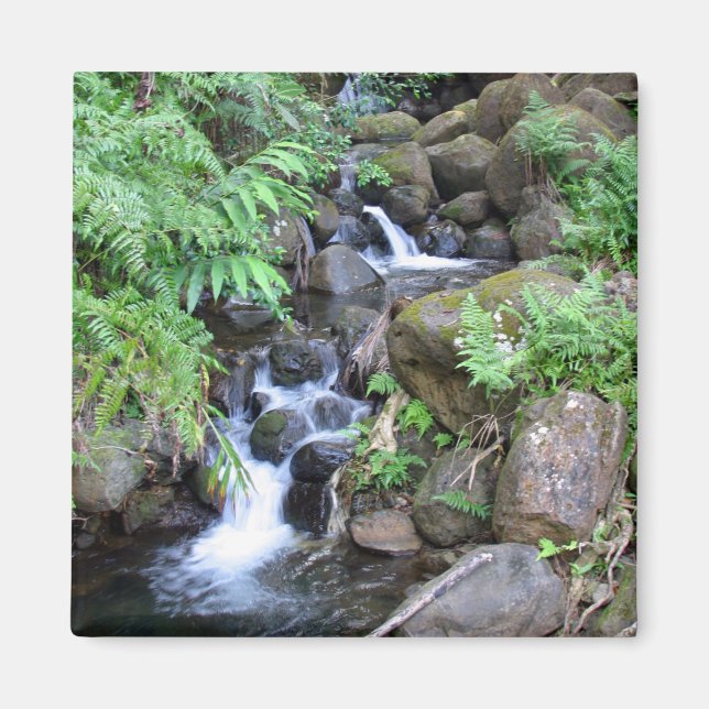 Hawaiian Tropical Stream Magnet (Framsidan)