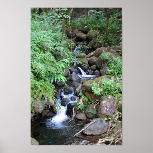 Hawaiian Tropical Stream Skriv ut Poster (Framsidan)