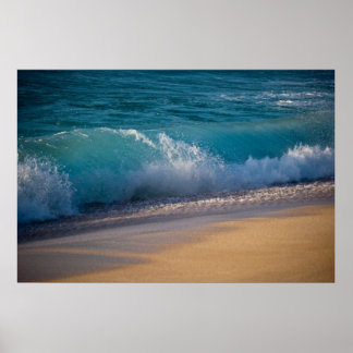 Hawaiian Vinkarare Poster