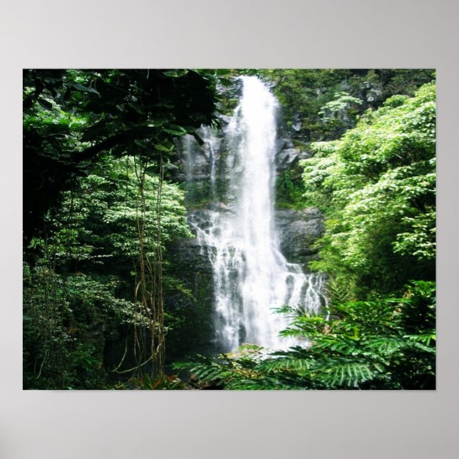 Hawaiian Waterfall Poster (Framsidan)