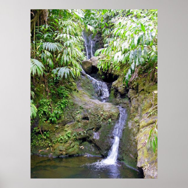 Hawaiian Waterfall Poster (Framsidan)