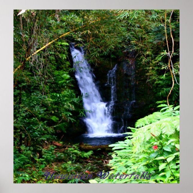 Hawaiian Waterfalls Poster (Framsidan)