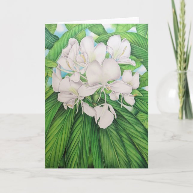 Hawaiian White Ginger Kort (Framsida)