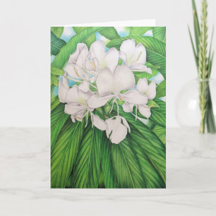 Hawaiian White Ginger Kort