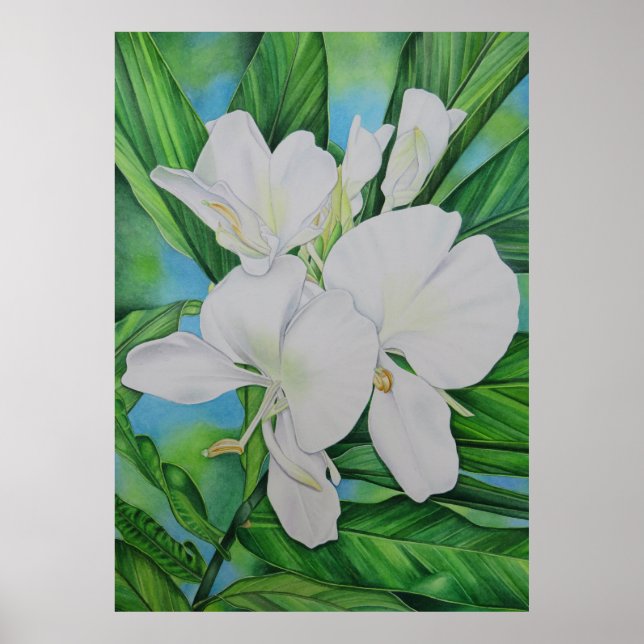 Hawaiian White Ginger Poster (Framsidan)