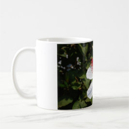 Hawaiian White Hibiscus Kaffemugg