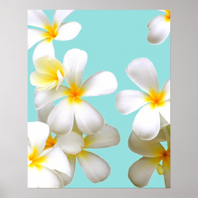 Hawaiian white plumeria flower blue poster (Framsidan)