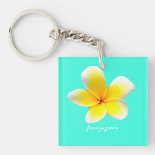 Hawaiian white plumeria flower  frangipani (Framsidan)