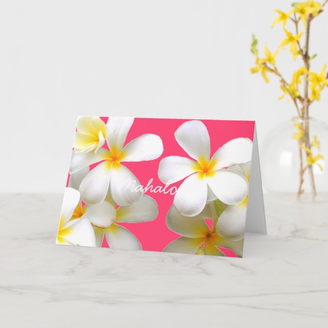 Hawaiian white plumeria greeting card pink kort (Gul blomma)