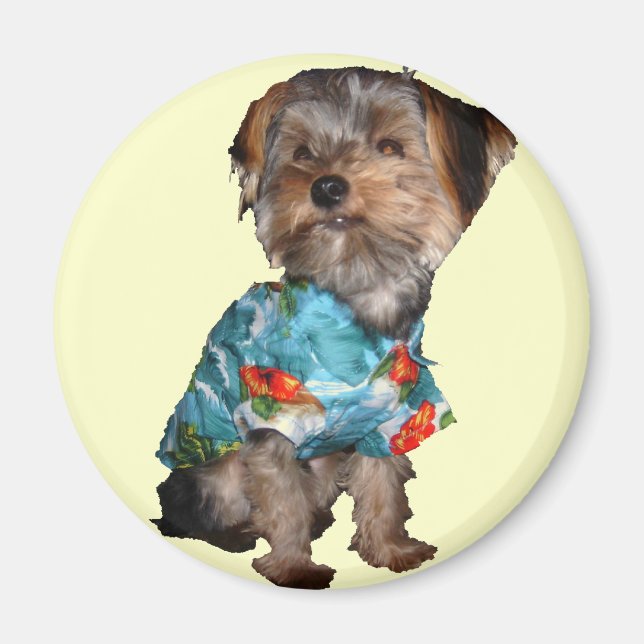Hawaiian Yorkie Magnet (Framsidan)