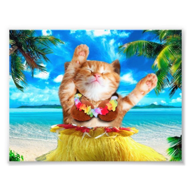 Hawaiiansk dancer cat fototryck (Framsidan)