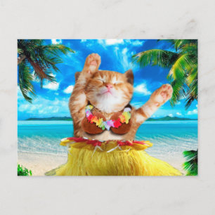 Hawaiiansk dancer cat vykort