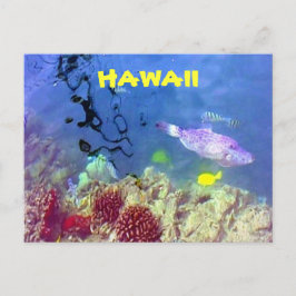Hawaiiansk fiskvykort vykort