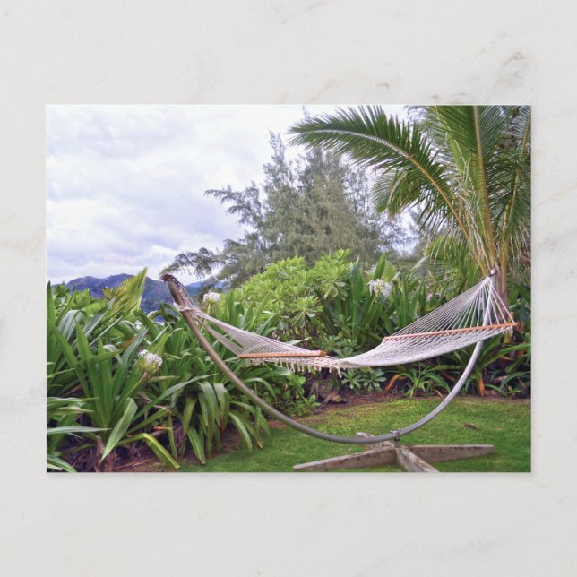 "Hawaiiansk hängmatta, Wainiha Bay, Kauai, Hawaii Vykort (Framsida)
