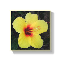 Hawaiiansk Hula Flicka Hibiskus Sträckt Canvastryc