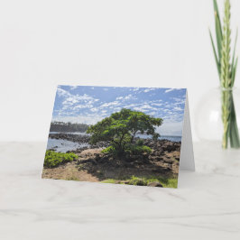 Hawaiiansk naturlandskapsfotografering tack kort