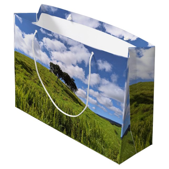 Hawaiiansk naturlig landskapsfoto  (Baksidan Vinklad)