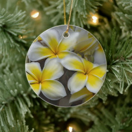 Hawaiiansk Plumeria Mjuk Kronblad Julgransprydnad Keramik