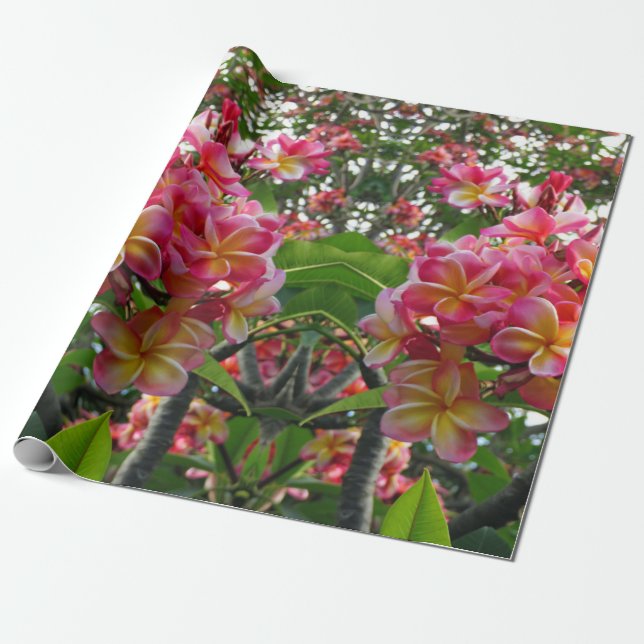 Hawaiiansk plumeria presentpapper (Utrullad)