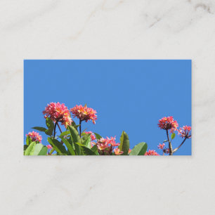 Hawaiiansk plumeria visitkort