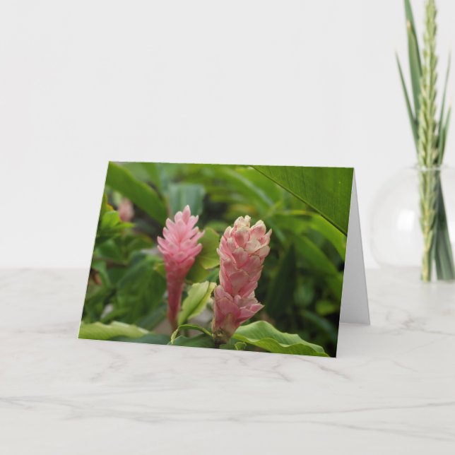 Hawaiiansk rosa ingwerblomma foto tack kort (Framsida)