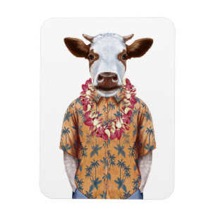 Hawaiiansk shierarki magnet
