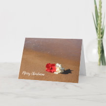 Hawaiiansk strandhibiskus julkort