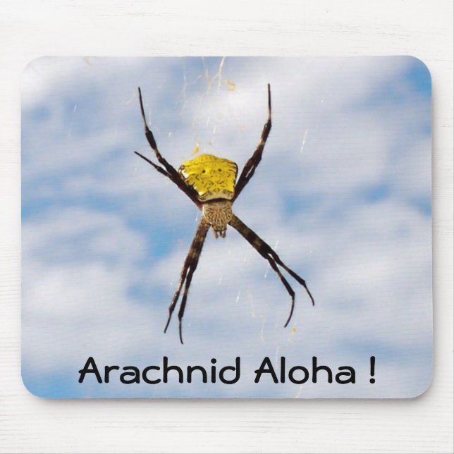 Hawaiiansk trädgårdsspider musmatta (Framsidan)