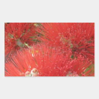 Hawaiiansk ursprunglig Ohia Lehua Flower Design Rektangulärt Klistermärke