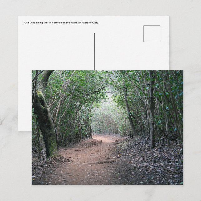 Hawaiiansk vykort (Fram/baksida)