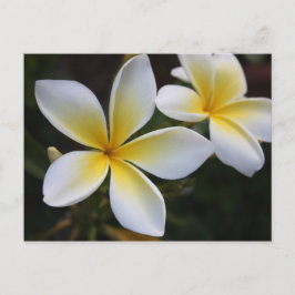 Hawaiiansk vykort