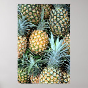 Hawaiianska anananas Poster
