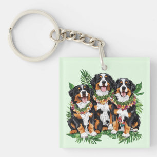 Hawaiianska Bernese Mountain Dogs Blomsterkrans