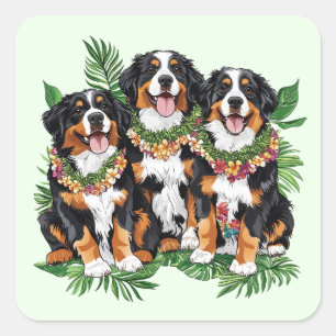 Hawaiianska Bernese Mountain Dogs Blomsterkrans Fyrkantigt Klistermärke