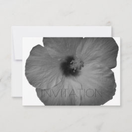 Hawaiianska drömmar i svart och vitt inbjudningar