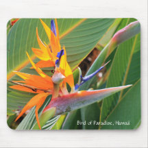 Hawaiianska fågeln i Paradise Mouse Pad