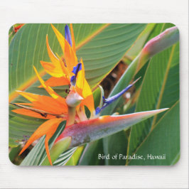 Hawaiianska fågeln i Paradise Mouse Pad Musmatta