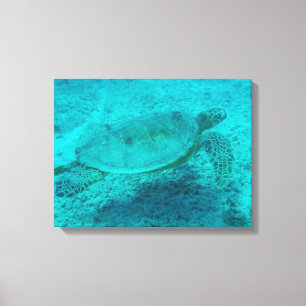 Hawaiianska Grönten Sea Turtle Kanvastryck