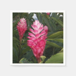 Hawaiianska ingefärsdunstar pappersservett