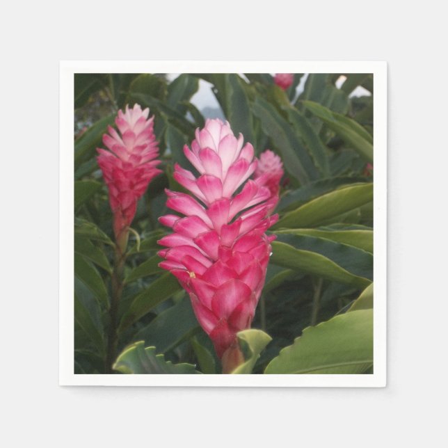 Hawaiianska ingefärsdunstar pappersservett (Framsidan)