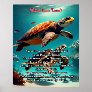 Hawaiianska öarna Lanai Aloha Poster